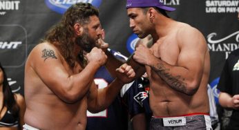 Vídeo: Fabrício Werdum vs. Roy Nelson