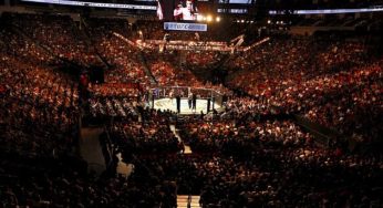 Senado de Nova York aprova regulamentação do MMA no estado