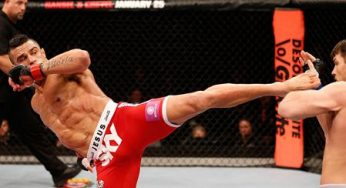 UFC São Paulo: Com chute espetacular, Vitor Belfort nocauteia Bisping