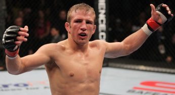 TJ Dillashaw surpreende o mundo e nocauteia Renan Barão no UFC 173