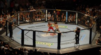 França ignora lobby do UFC e mantém proibição ao MMA