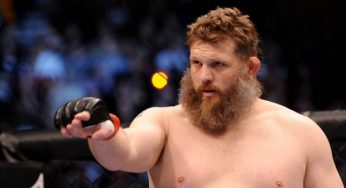 Súmula relata agressões de Roy Nelson a árbitro Big John McCarthy