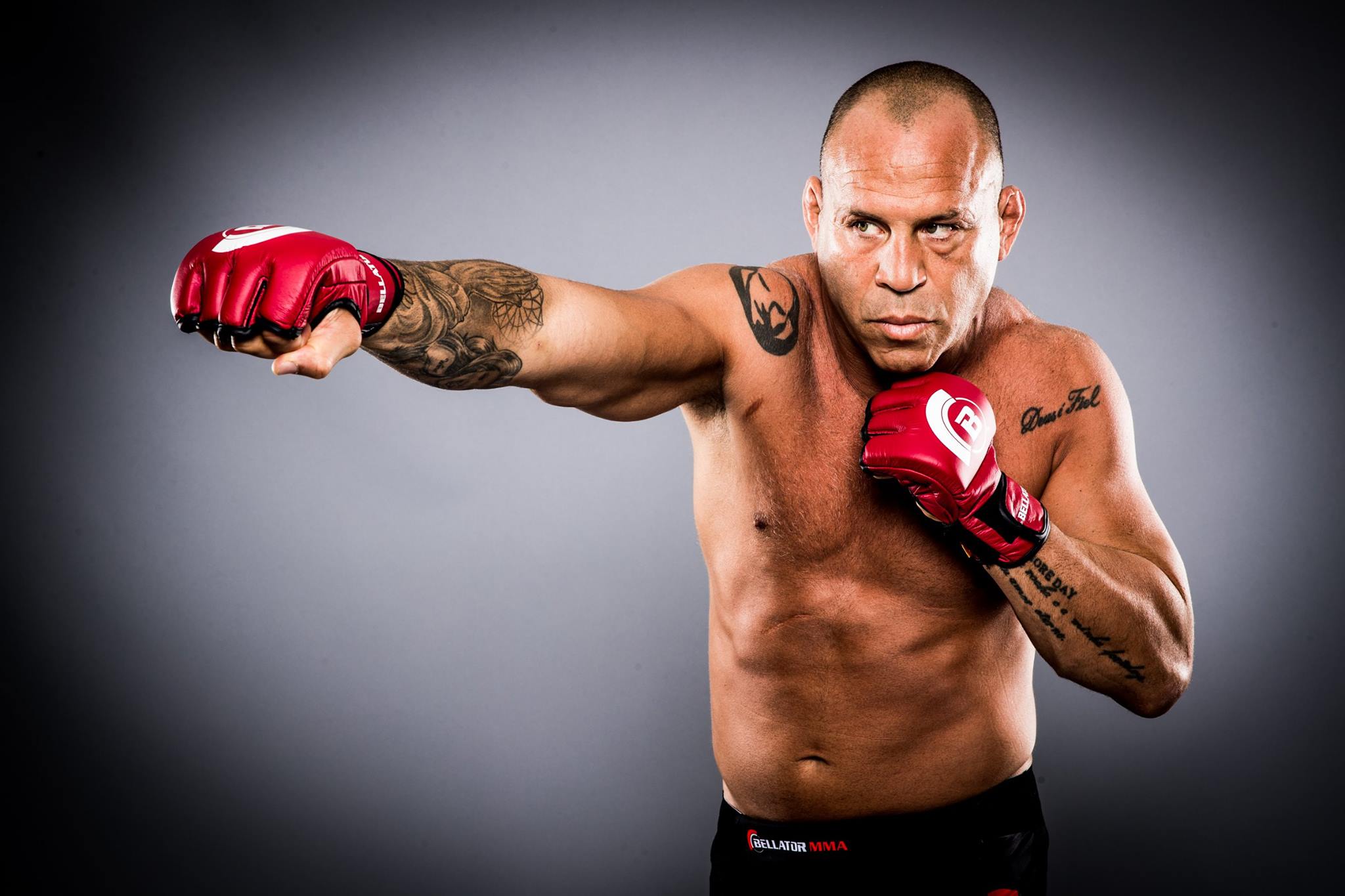 Wanderlei Silva Art