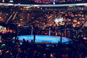 T-MOBILE Arena UFC 300