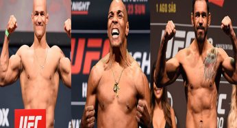 Cigano, Minotouro e Pezão são inocentados por casos de doping no UFC