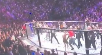 Três dos companheiros de Khabib são presos após atacarem McGregor