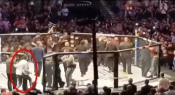 Vídeo: Fã entra no octógono para ajudar McGregor no UFC 229