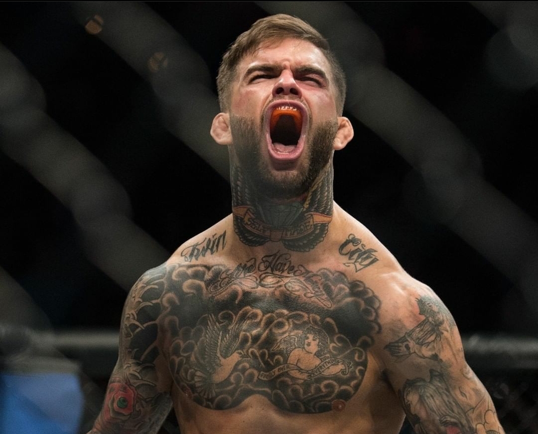 Де коди. Cody Garbrandt. Гарбрандт Фигередо. Коди Гарбрандт тату. Коди Гарбрандт пиздец ты Тип.