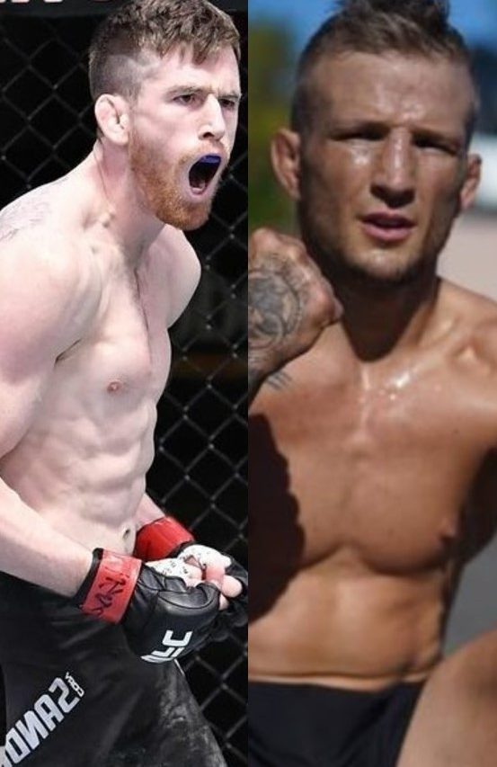 Retrospectiva UFC Las Vegas 32: Confira os três melhores nocautes de Cory Sandhagen e TJ Dillashaw