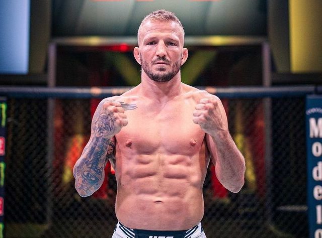 As reviravoltas da divisão dos galos desde a última luta de TJ Dillashaw