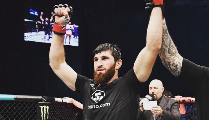 Magomed Ankalaev luta no UFC 308 de olho em Alex Poatan / Reprodução UFC