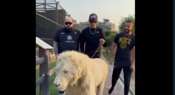 VÍDEO – Em Dubai, Alex Poatan ‘imita’ Charles do Bronx e faz passeio ao lado de leão