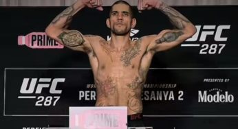 Poatan confirma o favoritismo contra Prochazka? Assista o Melhores Apostas com análises e dicas para o UFC 295