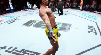 Confira os Palpites SUPER LUTAS para o UFC São Paulo