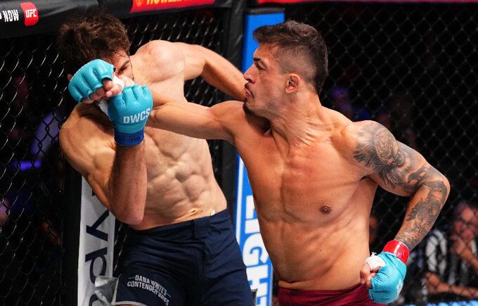 Marco Túlio (dir.) em nocaute no Contender Series. Foto: Reprodução/Twitter/UFC News