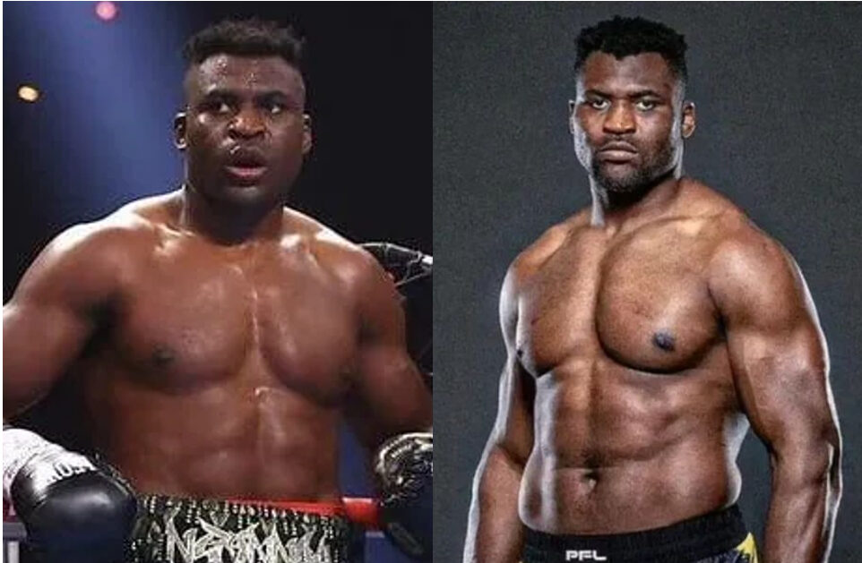 Diferença de forma física de Ngannou no boxe e no MMA. Foto: Montagem SUPER LUTAS