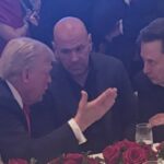 Dana White conversa com Donald Trump e Elon Musk em jantar