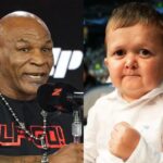 Mike Tyson admitiu que confunciu Hasbulla com um bebê / Montagem reprodução Instagram