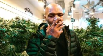 Mike Tyson ‘culpa’ Jake Paul por desafio no momento mais calmo de sua vida: ‘De boa fumando maconha e comendo cogumelos’